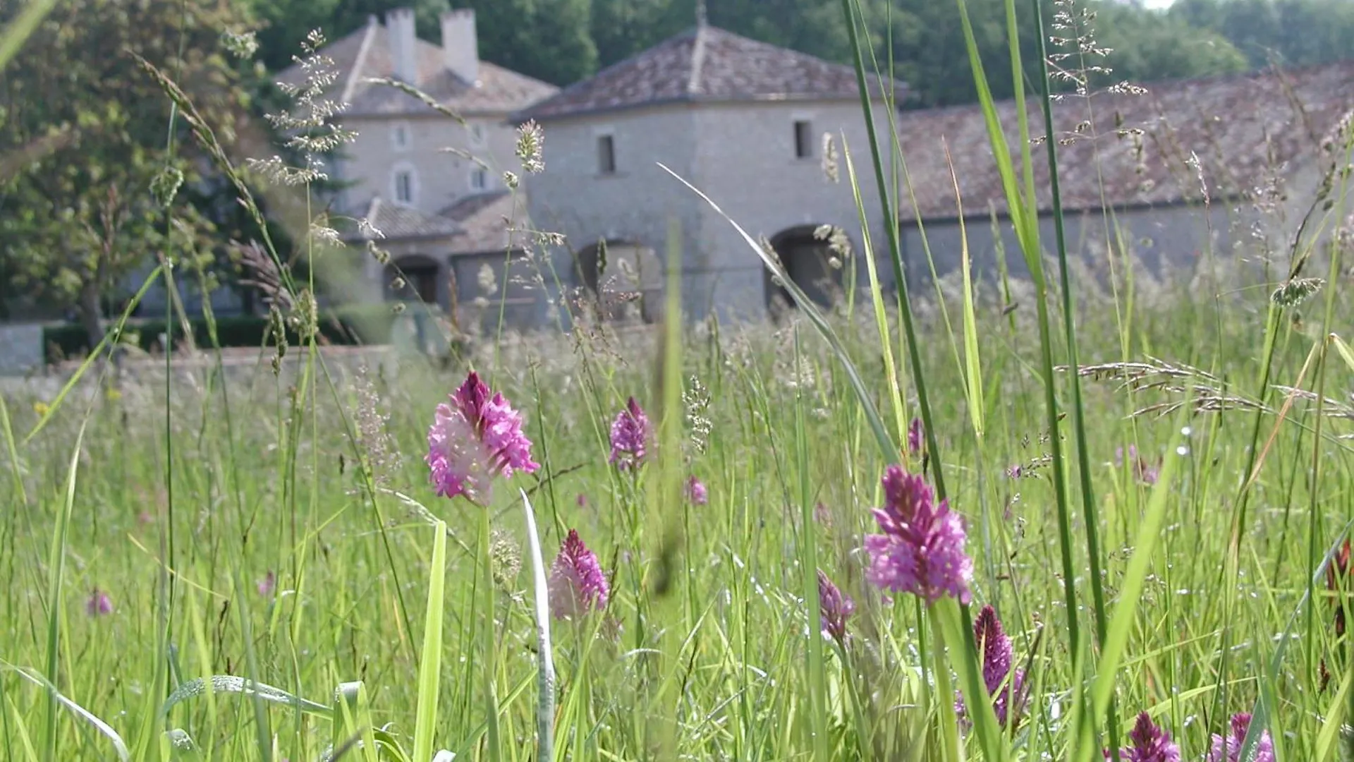 Chateau Lecusse - La Grande Roche - Hotel, Spa, Boutique & Restaurant Broze